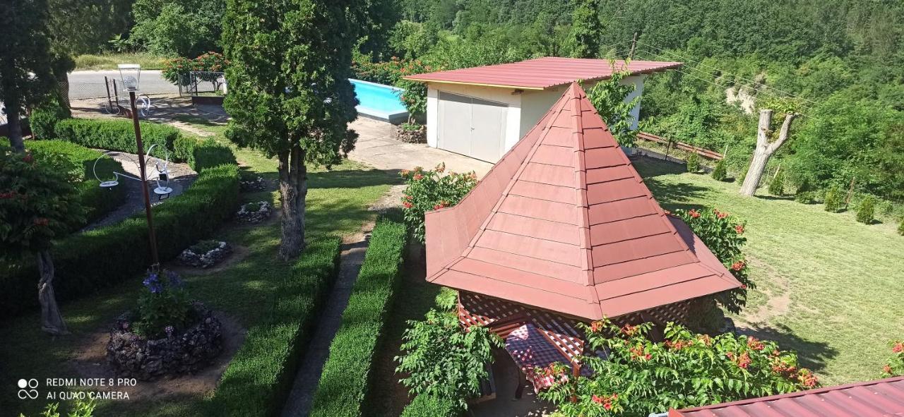 Guest House Vila Aleksa Bogutovac Exterior foto