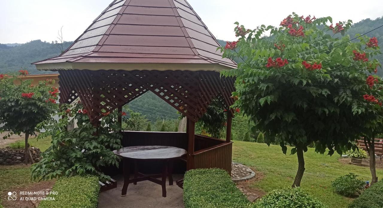 Guest House Vila Aleksa Bogutovac Exterior foto