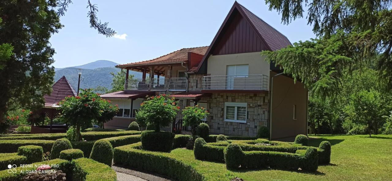 Guest House Vila Aleksa Bogutovac Exterior foto